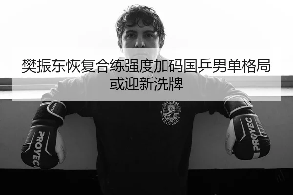 樊振东恢复合练强度加码国乒男单格局或迎新洗牌